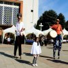 Almafesztivál 2016