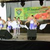 Almafesztivál 2016