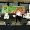 Almafesztivál 2016