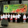 Almafesztivál 2016