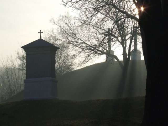 Természet